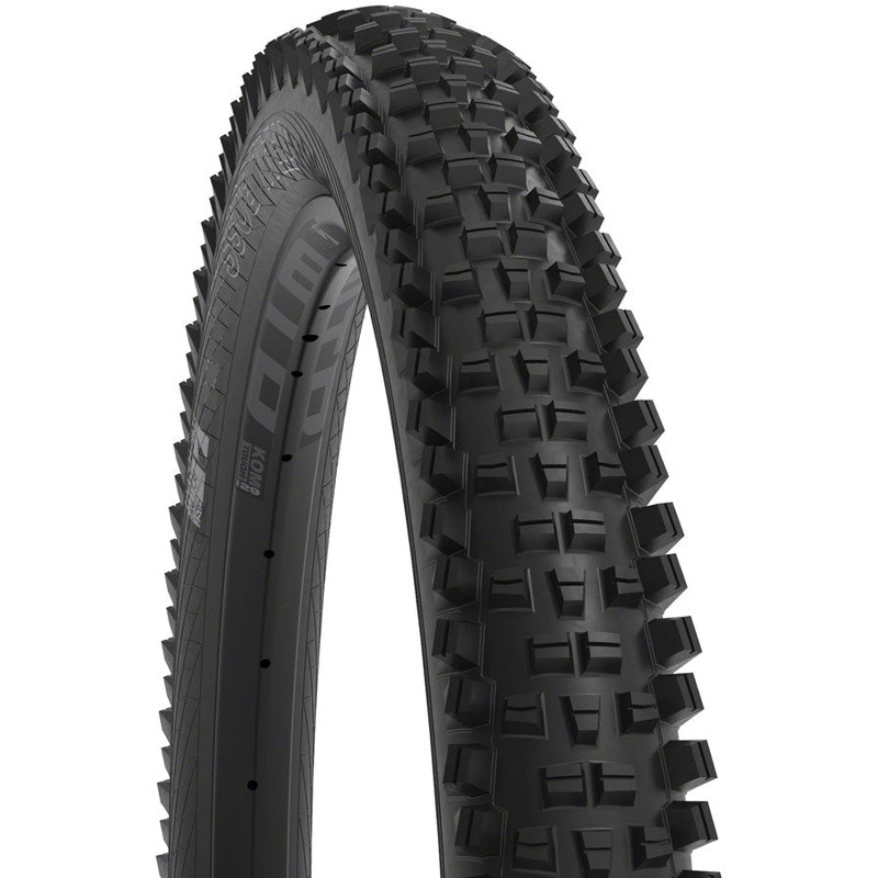 Trail Boss Mountain Bike Tire – 29 x 2.4, TCS Tubeless, Black, Light/Fast Rolling, Dual DNA, SG2