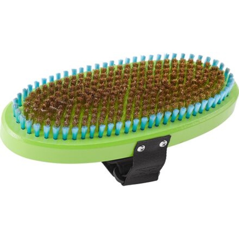 Premium Oval Brass Brush|Green|One Size