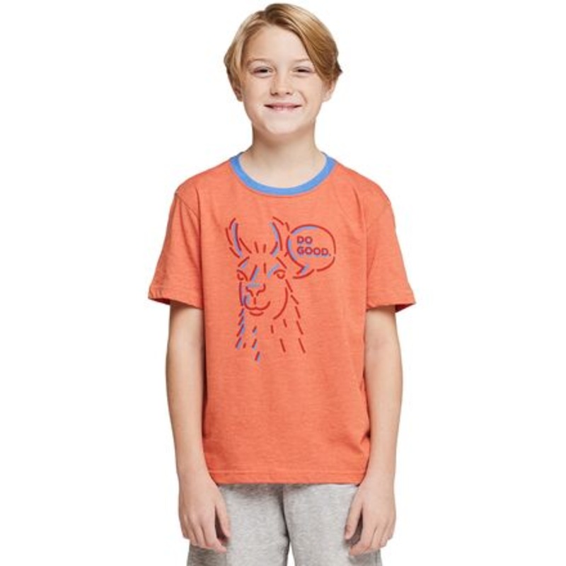 Talking Llama Organic T-Shirt – Boys&apos;