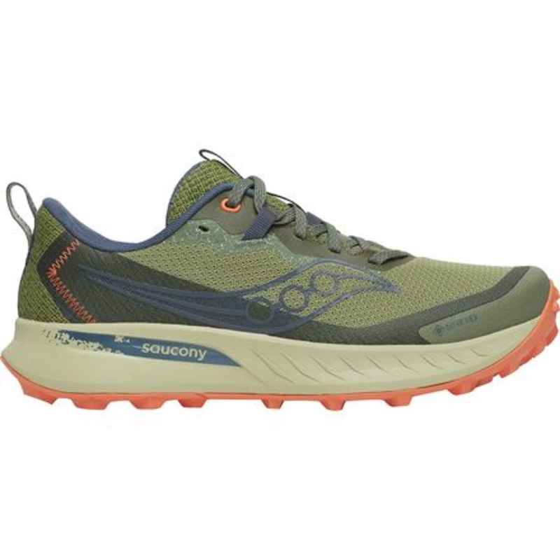 Peregrine 15 GTX Running Shoe – Women&apos;s