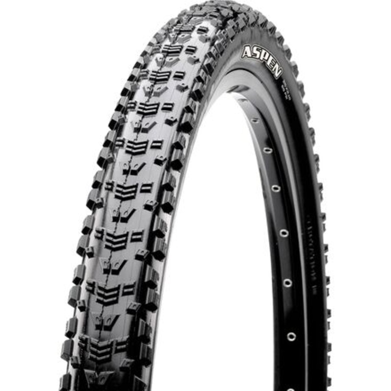 Aspen MaxxSpeed/EXO/170tpi/TR 29in Tire