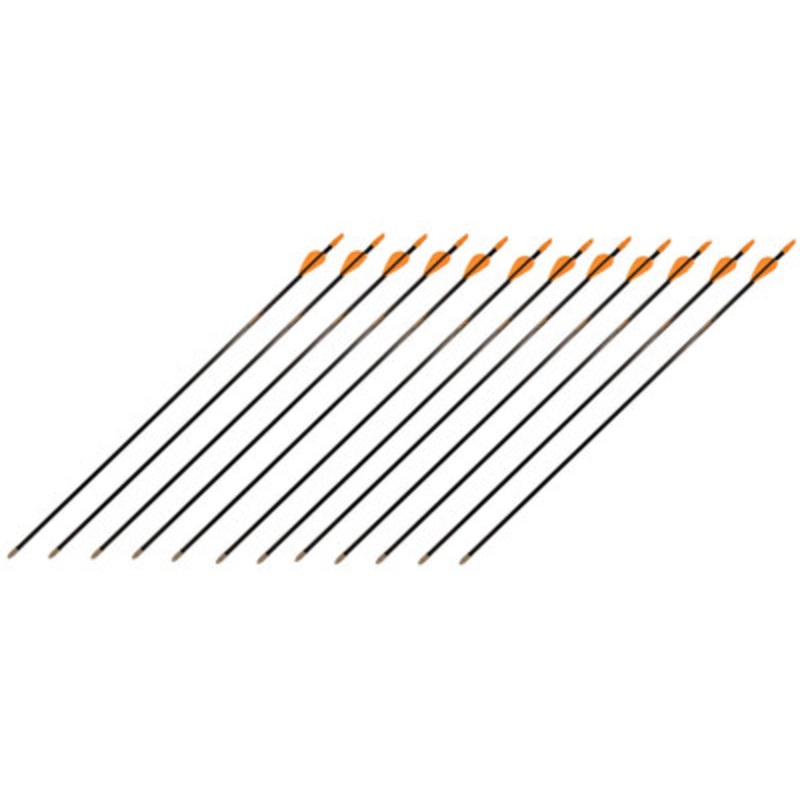 SafetyGlass Vaned Archery Arrows